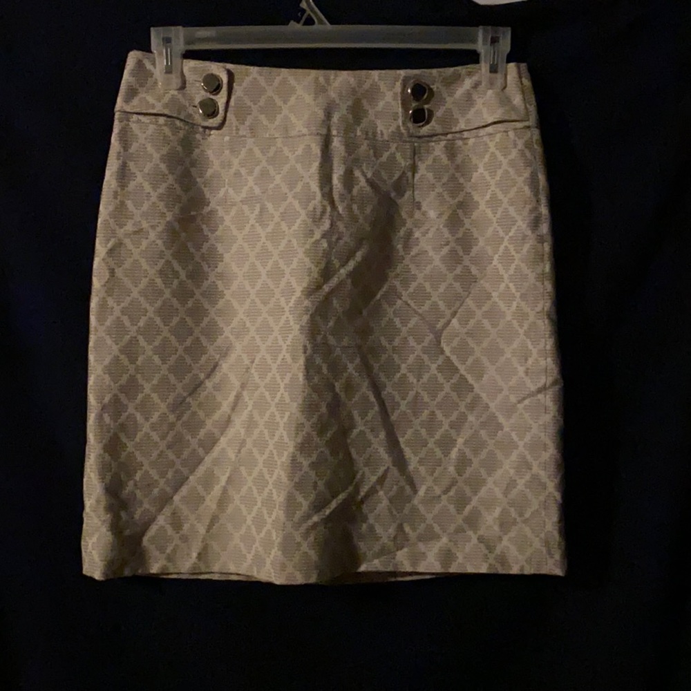 Banana Republic Pencil Skirt